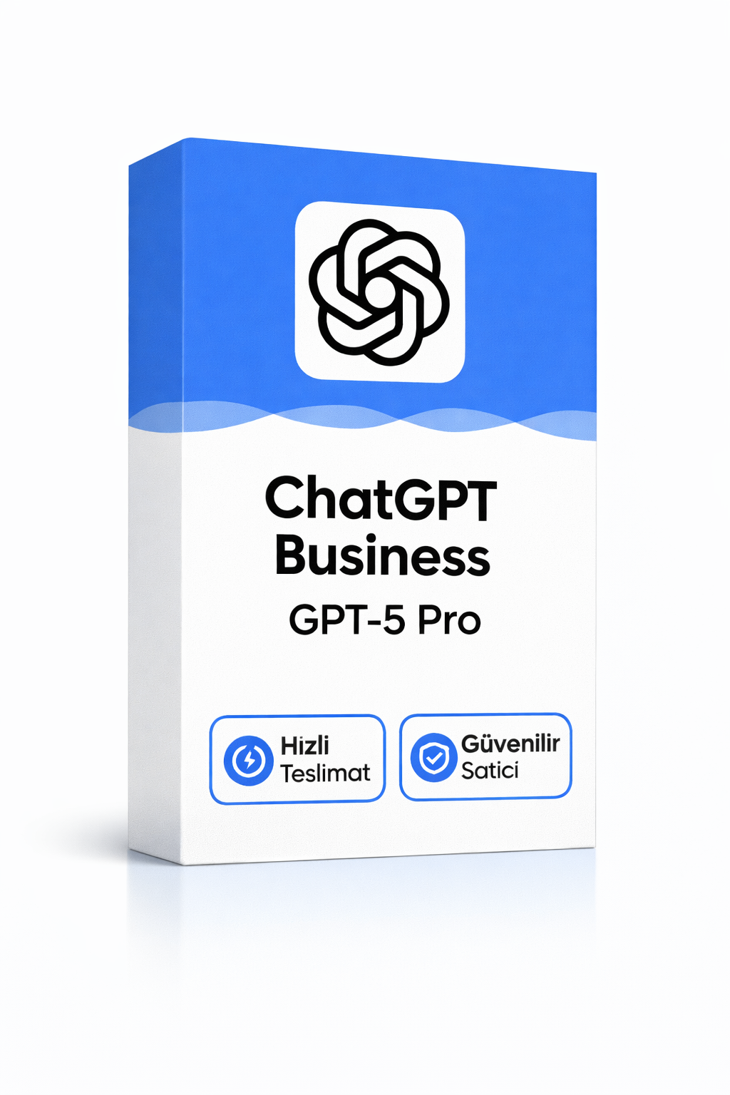 ChatGPT Plus Premium Hesap 12 Ay